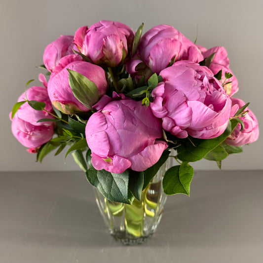 Maison de Pivoines